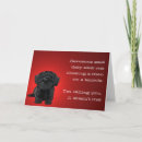 Search for innocent cards Dog