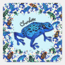 Search for rainforest frog stickers Tropical