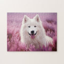 Search for samoyed puzzles Puppy