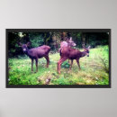 Search for cute fawn posters Doe