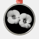 Search for crown christmas tree decorations Crown of thorns