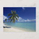 Search for south island postcards Palm tree