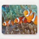 Search for philippines mouse mats Fauna
