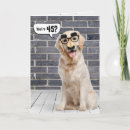 Search for funny 45th birthday cards Dog