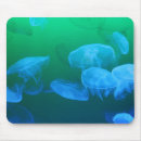 Search for atmospheric mouse mats Green
