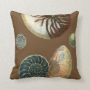 Search for shell cushions Ocean