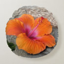 Search for hibiscus cushions Orange