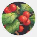 Search for green holly leaves red berries stickers Berry