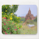 Search for myanmar mouse mats Pagoda