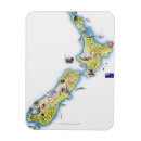 Search for new zealand magnets Landscape