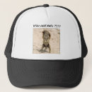 Search for nut with squirrel hats Humour