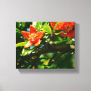 Search for pomegranate art Photography