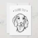Search for doxies cards For pets