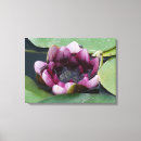 Search for purple lotus flower art Zen