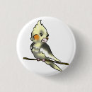 Search for cockatiel badges Budgie