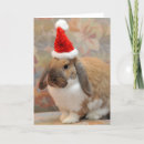 Search for humor easter cards Animal