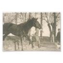 Search for equine image posters Photography