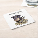 Search for work coasters Hunting