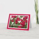 Search for surgery cards Well