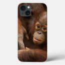 Search for monkey ipad cases Rainforest