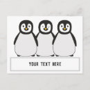 Search for black and white penguin postcards Animals