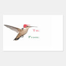 Search for green hummingbird stickers Red