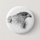 Search for bird badges Bird of prey