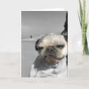 Search for dirty birthday cards Humour