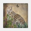 Search for leopard spots magnets Wildlife