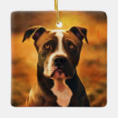 Search for pit bull christmas tree decorations Animals