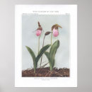Search for slipper posters Floral