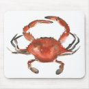Search for red crab electronics Sea life