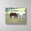 Search for mammals canvas prints Brown