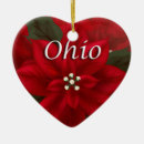 Search for ohio state christmas tree decorations Usa