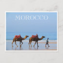 Search for camel postcards Beach