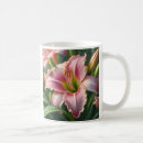 Search for daylilies mugs Pink
