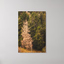 Search for standing canvas prints Trees
