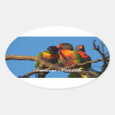 Search for rainbow lorikeet stickers Australian