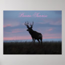 Search for wildlife photography posters Deer