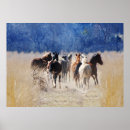 Search for wild horse posters Animal