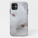 Search for angora rabbits Cute