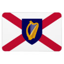 Search for saint patrick magnets Flag