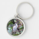 Search for ruby throated key rings Birds