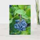 Search for blueberry cards Garden
