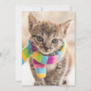 Search for scarf cards Pet
