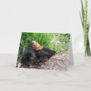 Search for chicken valentines day cards Animals