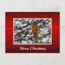 Search for cute squirrel pictures postcards Tree