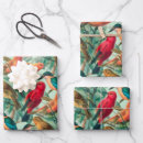 Search for songbird wrapping paper Nature