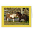 Search for pony cards Horses