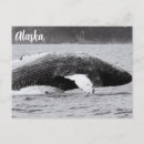 Search for adventure travel postcards Black and white